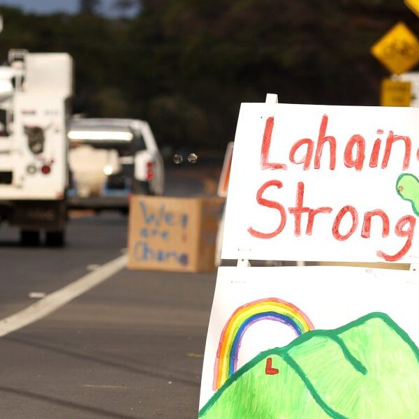 Amid local weather disasters and regardless of its personal tragedy, Hawaii supplies…