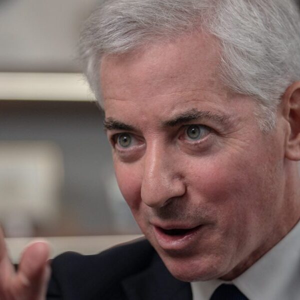 Hedge fund billionaire Invoice Ackman takes purpose at ‘anti-capitalist’ DEI ‘ideology’ after…
