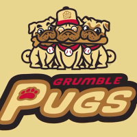 Binghamton Rumble Ponies unveil Grumble Pugs identification – SportsLogos.Internet Information