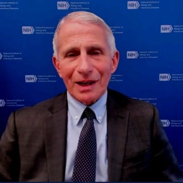 Anthony Fauci Lastly Admits the Fact About Proof Behind COVID Pointers |…