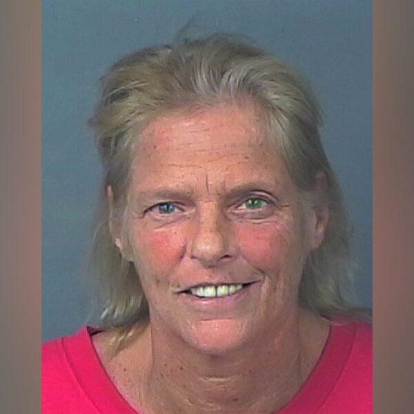 Florida property line dispute turns violent when lady hits neighbor with hammer,…