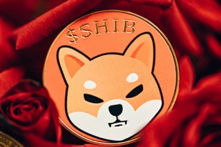 Shiba Inu To $1: AI Predicts How Lengthy It’ll Take And What…