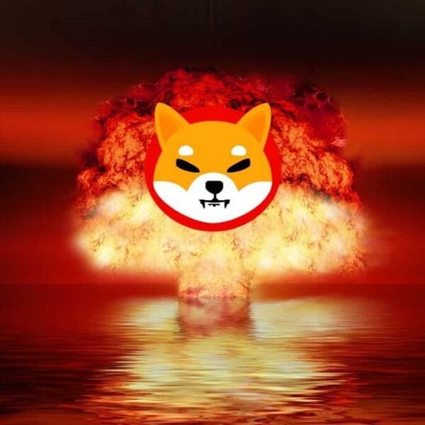 Shiba Inu Crew’s Report 9.35 Billion SHIB Burn Sends Burn Fee Hovering…