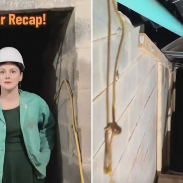 Neighbors react as viral ‘Tunnel Woman’ ordered to cease digging underground shelter…