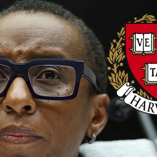 Harvard President Claudine Homosexual Resigning After Antisemitism Listening to