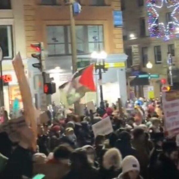 Lots of of Professional-Palestinian Protesters Take Over Historic Boston Widespread, Crash New…