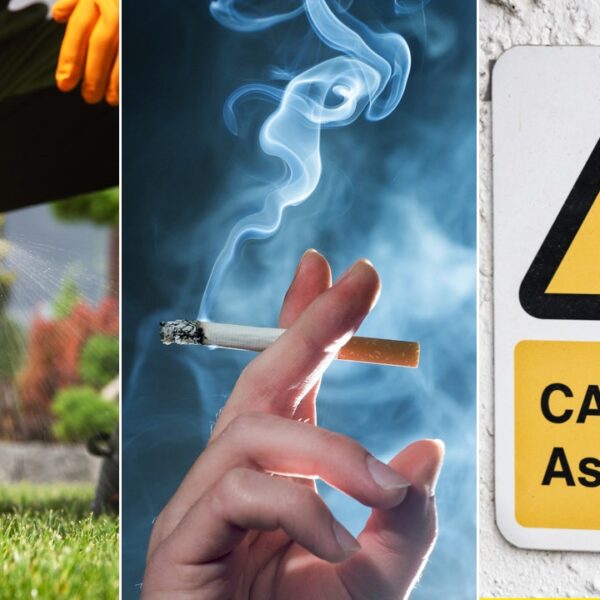 Most cancers causes: These 10 hidden carcinogens can elevate the danger, in…