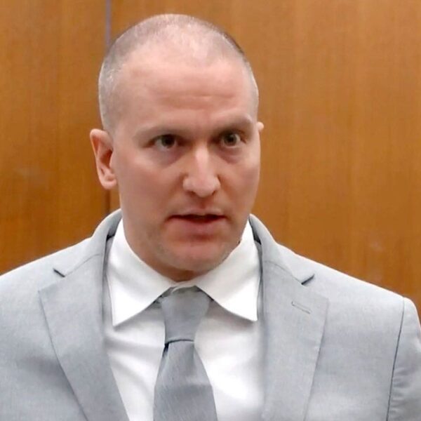 Ex-FBI informant accused of stabbing Derek Chauvin in BLM-inspired jail assault pleads…