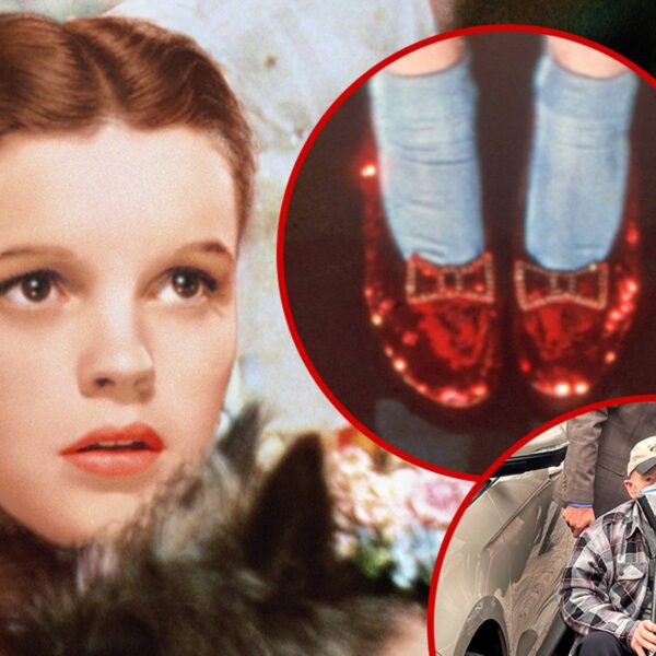‘Wizard of Oz’ Ruby Pink Slippers Have been Stolen by Mobster who…