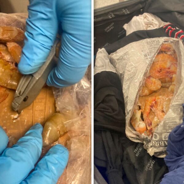 Man Arrested For Allegedly Smuggling Cocaine In Frozen Jumbo Shrimp Luggage