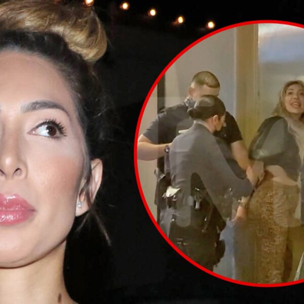 Farrah Abraham Sues Safety Guard After Different Guard Sued Her for 2022…