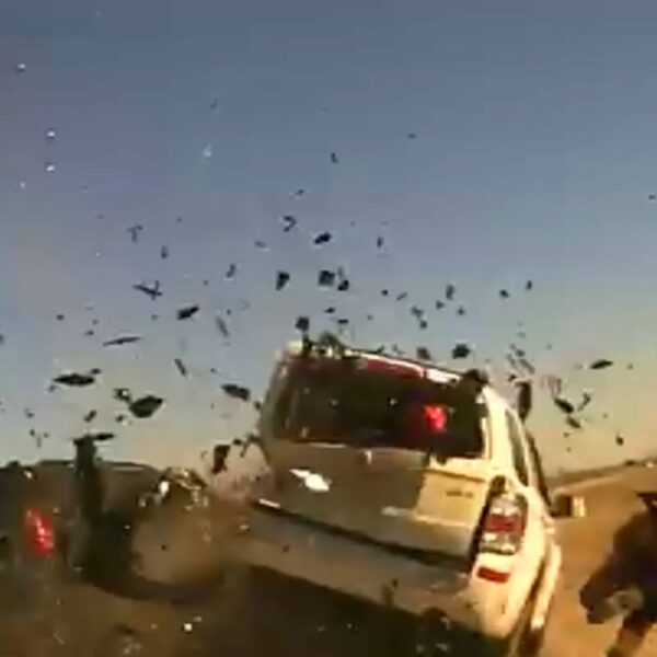 Oklahoma Freeway Patrol Officer Goes Flying, Hit Throughout Site visitors Cease