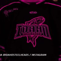 ECHL’s Idaho Steelheads Unveil Jerseys for seventeenth Annual Pink within the Rink…