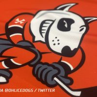 OHL’s Niagara IceDogs Paint the Rink Orange to Elevate Most cancers Analysis…