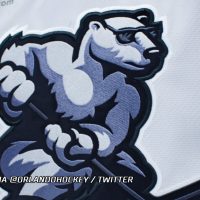 ECHL’s Orlando Photo voltaic Bears Go All Out for White Out Evening…