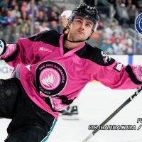 AHL’s San Jose Barracuda Deliver Struggle Towards Most cancers to the Rink…