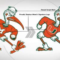 Miami Hurricanes Modernize Sebastian The Ibis Emblem – SportsLogos.Internet Information