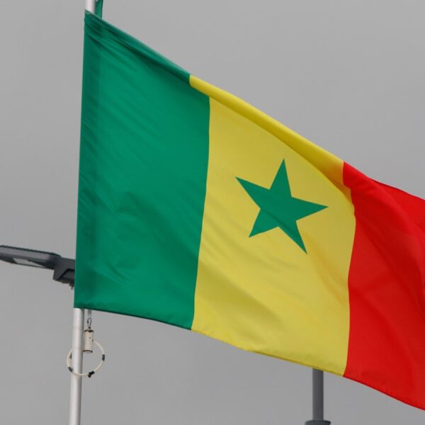Ex-leader’s son renounces French nationality to run for president of Senegal