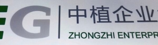 China ‘wealth supervisor’ Zhongzhi goes bankrupt amid property market collapse