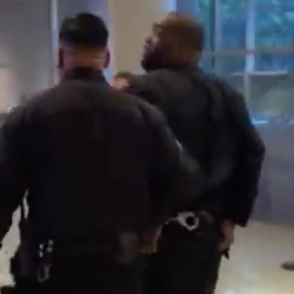 Rapper ‘Killer Mike’ Arrested at Grammy Awards Two Days After He Refused…