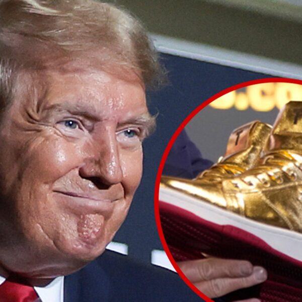 Trump Launches Sneaker Line Emblazoned with ‘By no means Give up’