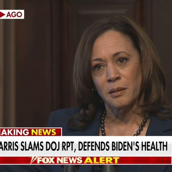 Kamala Harris angrily assaults particular counsel who spotlighted Biden reminiscence lapses as…