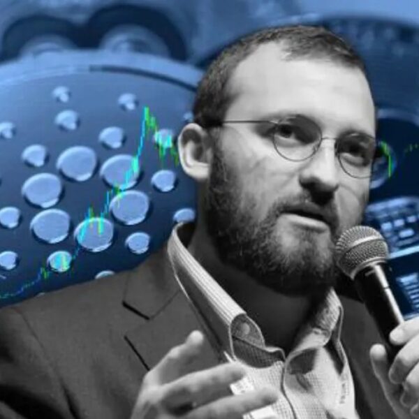 Cardano Founder Argues Bitcoin Can By no means Be Like ADA Or…