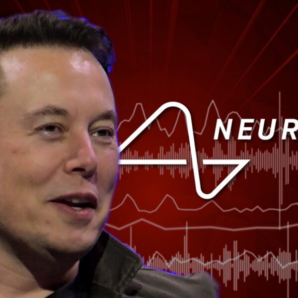 Elon Musk Says Mind Chip Affected person Can Management Pc Mouse With…