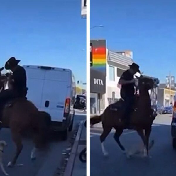 LAPD Officer Swings Baton at Unleashed Canine Over Police Horse Assault