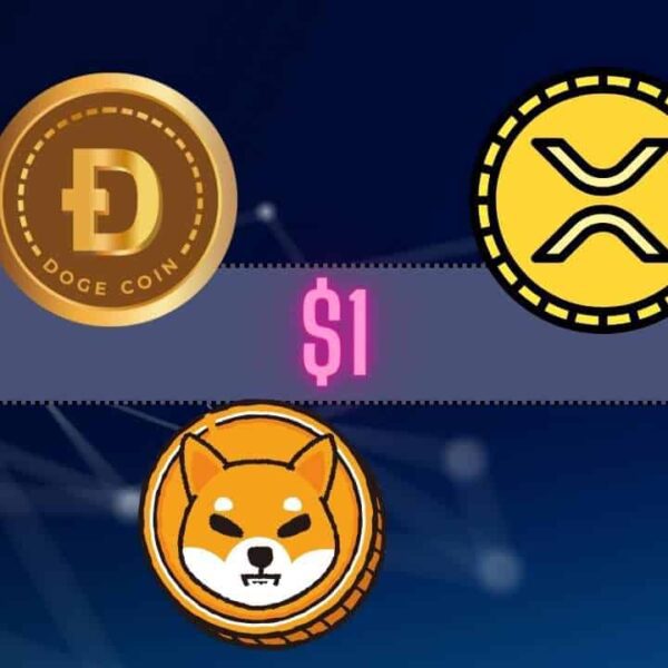 Binance Releases Proof Of Reserves: Right here’s How A lot DOGE, SHIB,…