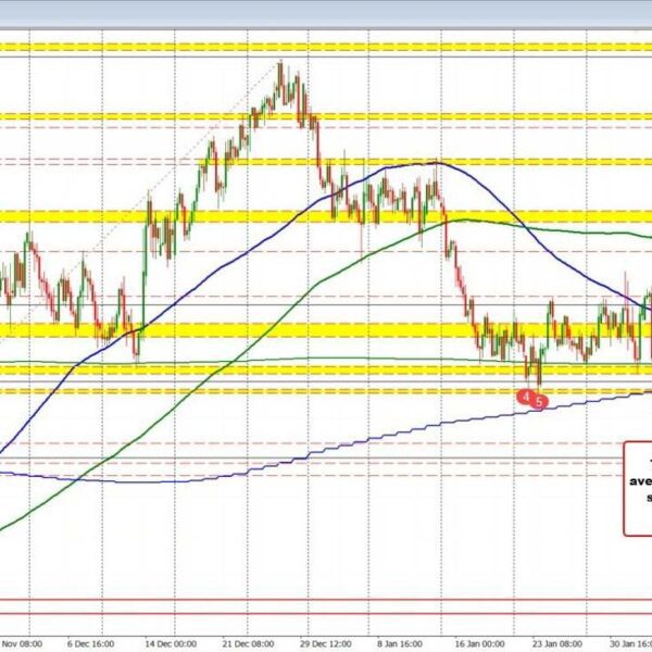 NZDUSD follows the USD larger and within the course of check the…