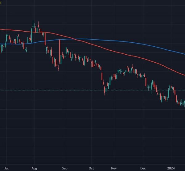 Chinese language shares hold with the rebound however squares up in opposition…