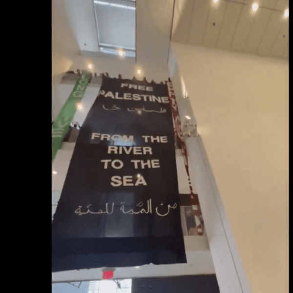 Professional-Palestine Agitators Occupy MoMA Museum in NYC, Dangle Genocidal Message | The…