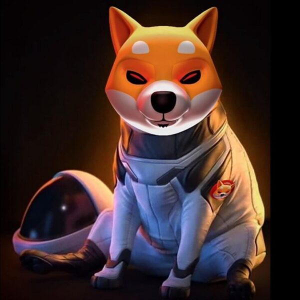 Shiba Inu Group Reveals When The Roadmap Will Be Accomplished