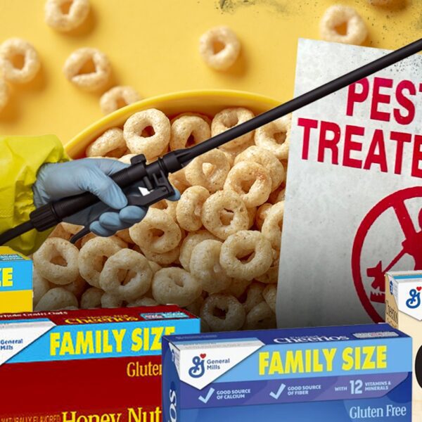 Basic Mills Hit With Lawsuit Claiming Cheerios Has Dangerous Ranges Of Pesticide