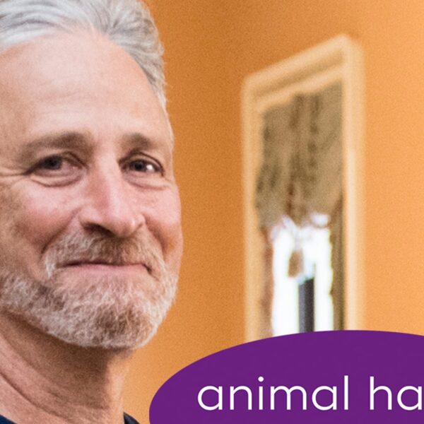 Jon Stewart Helps NYC Animal Shelter Increase $25K After Tearful Canine Tribute