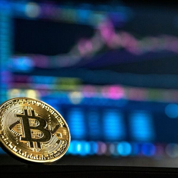 Bitcoin 2021 Bull Consumers Lastly Inexperienced As BTC Hits $50,000