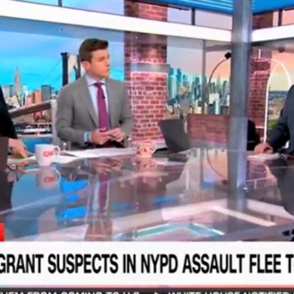 WATCH: Feminine CNN Anchor is Left Speechless After Regulation Enforcement Analyst Explains…