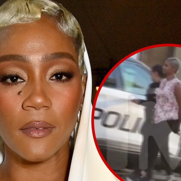 Tiffany Haddish Cops Plea in L.A. DUI Case, Settles for Reckless Driving
