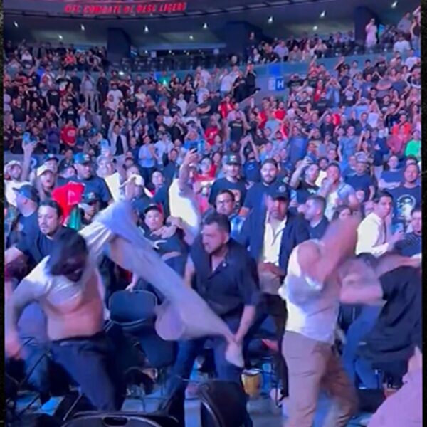 UFC Fan Suffers Brutal Knock Out in Crowd of UFC Struggle Night…