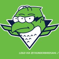 AHL’s Thunderbirds Deliver Again ‘Simpsons’-Themed Promotion, Jerseys – SportsLogos.Internet Information