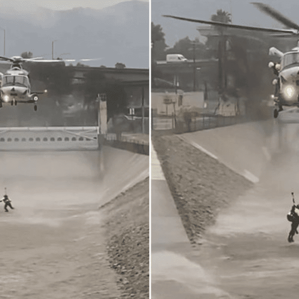 Los Angeles Hearth Division makes use of helicopter to rescue man, canine…
