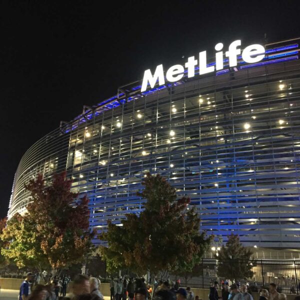 MetLife: Secure Wager To Maintain As Future Earnings Progress Anticipated (NYSE:MET)