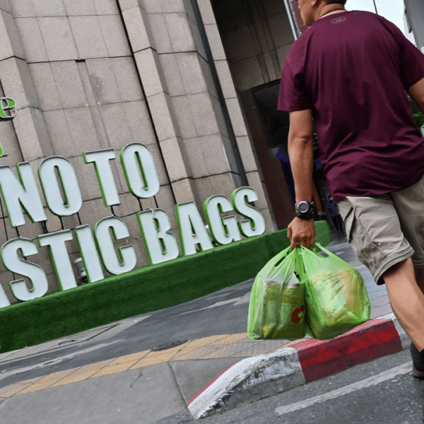 Why plastic bag bans are failing