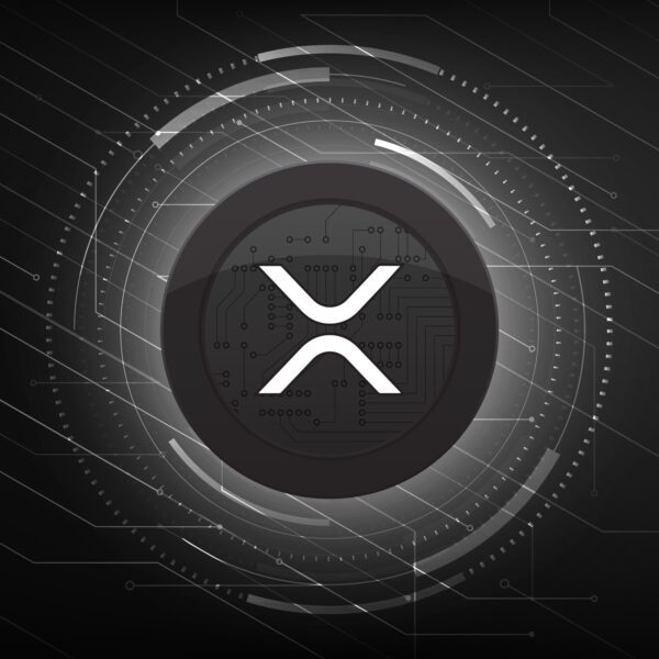 XRP’s Subsequent Frontier: Coreum Co-founder Teases Potential Positive aspects For Customers In…