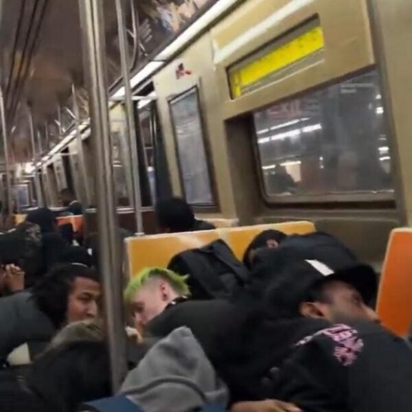 Passengers Take Cowl and Beg For NYPD to Save Them After Man…