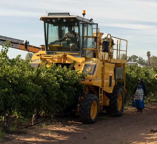 China Lifts Punishing Tariffs on Australian Wine