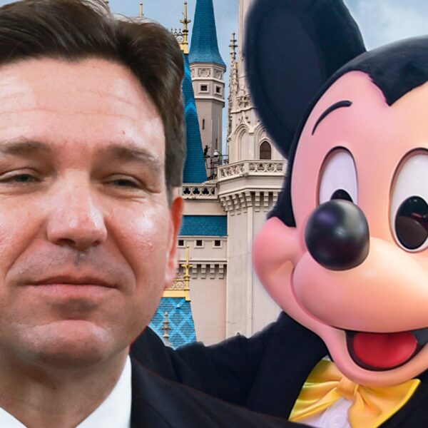 Ron DeSantis & Disney Settle ‘Do not Say Homosexual’ Retaliation Lawsuit