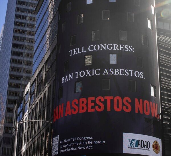 U.S. Bans the Final Sort of Asbestos Nonetheless in Use