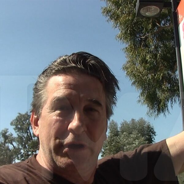 Billy Baldwin Tones Down Feud with Sharon Stone, Talks Would-Be E-book